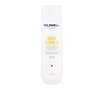 Šampon Goldwell Dualsenses Rich Repair 250 ml