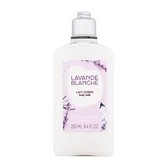 Losjon za telo L'Occitane Lavande Blanche 250 ml