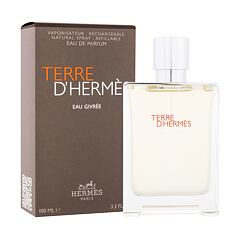 Parfumska voda Hermes Terre d´Hermès Eau Givrée 100 ml Seti