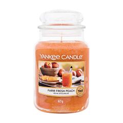 Dišeča svečka Yankee Candle Farm Fresh Peach 623 g