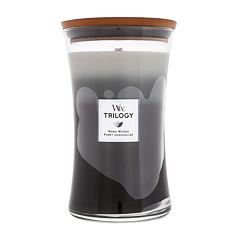 Dišeča svečka WoodWick Trilogy Warm Woods 610 g