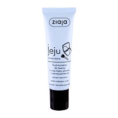 Korektor Ziaja Jeju 30 ml Natural