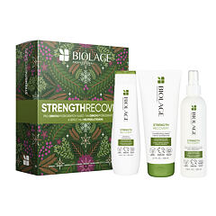 Šampon Biolage Strength Recovery 250 ml Seti