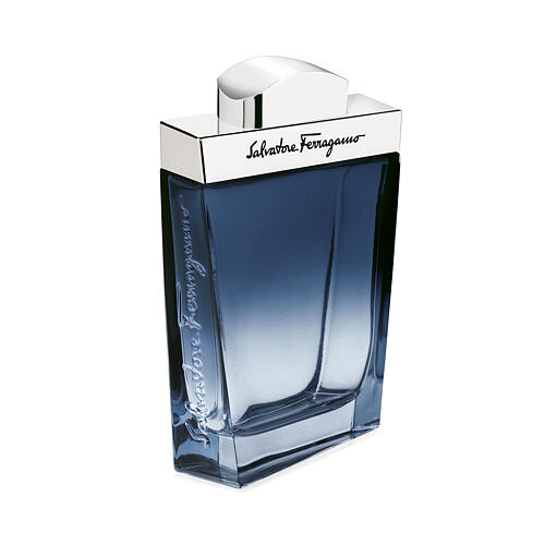 Toaletna voda Ferragamo Subtil Pour Homme 100 ml